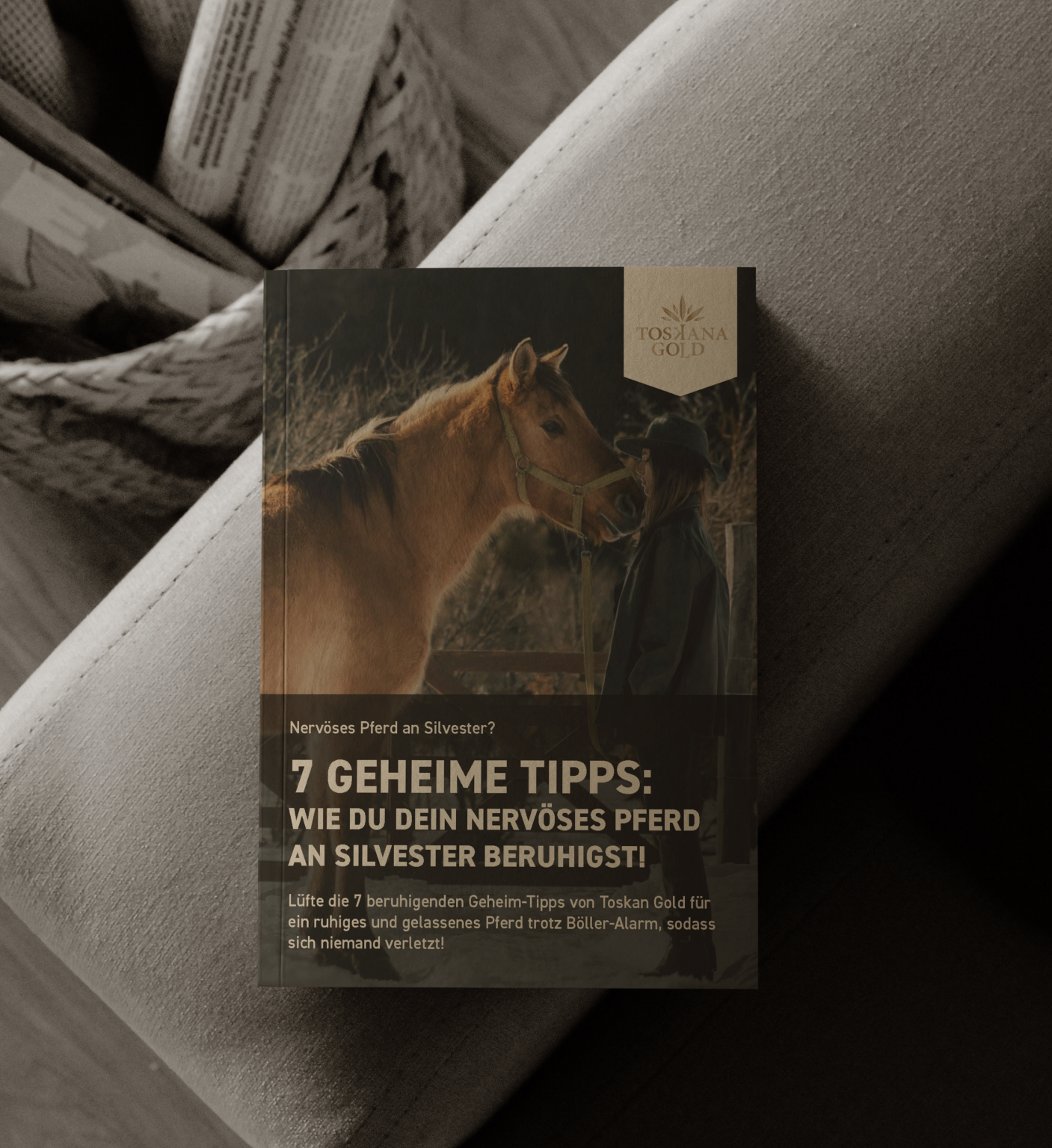 Silvester-Panik? Diese 7 geheimen Tipps machen dein Pferd gelassener als einen schlafenden Buddha!